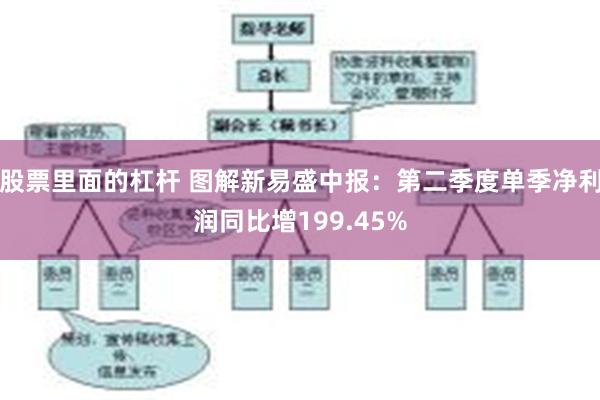 股票里面的杠杆 图解新易盛中报：第二季度单季净利润同比增199.45%