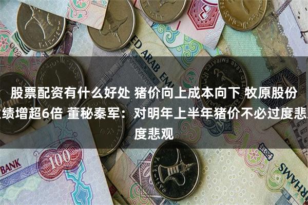 股票配资有什么好处 猪价向上成本向下 牧原股份业绩增超6倍 董秘秦军：对明年上半年猪价不必过度悲观