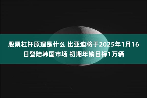 股票杠杆原理是什么 比亚迪将于2025年1月16日登陆韩国市场 初期年销目标1万辆