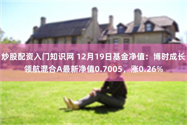 炒股配资入门知识网 12月19日基金净值：博时成长领航混合A最新净值0.7005，涨0.26%