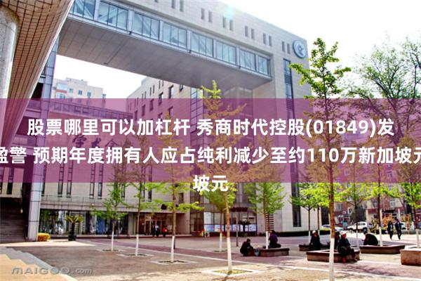 股票哪里可以加杠杆 秀商时代控股(01849)发盈警 预期年度拥有人应占纯利减少至约110万新加坡元