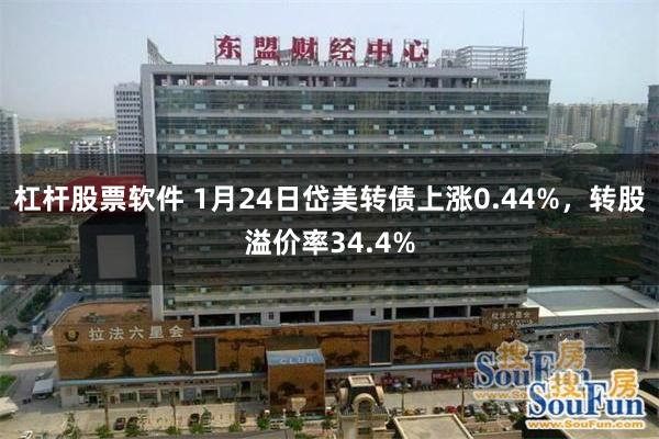 杠杆股票软件 1月24日岱美转债上涨0.44%，转股溢价率34.4%