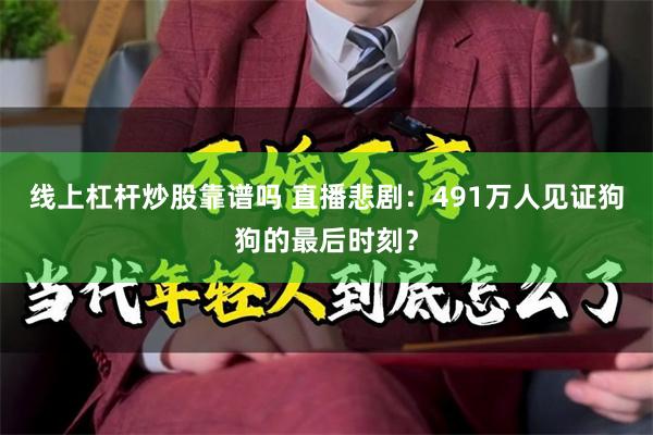 线上杠杆炒股靠谱吗 直播悲剧：491万人见证狗狗的最后时刻？