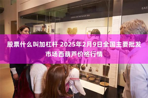 股票什么叫加杠杆 2025年2月9日全国主要批发市场西葫芦价格行情