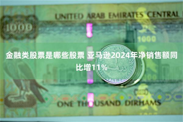 金融类股票是哪些股票 亚马逊2024年净销售额同比增11%