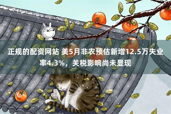 正规的配资网站 美5月非农预估新增12.5万失业率4.3%，关税影响尚未显现