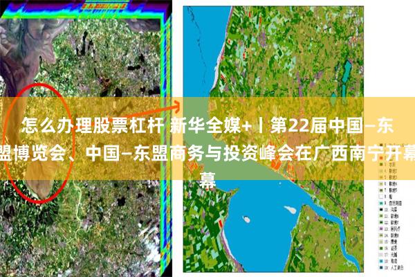 怎么办理股票杠杆 新华全媒+丨第22届中国—东盟博览会、中国—东盟商务与投资峰会在广西南宁开幕